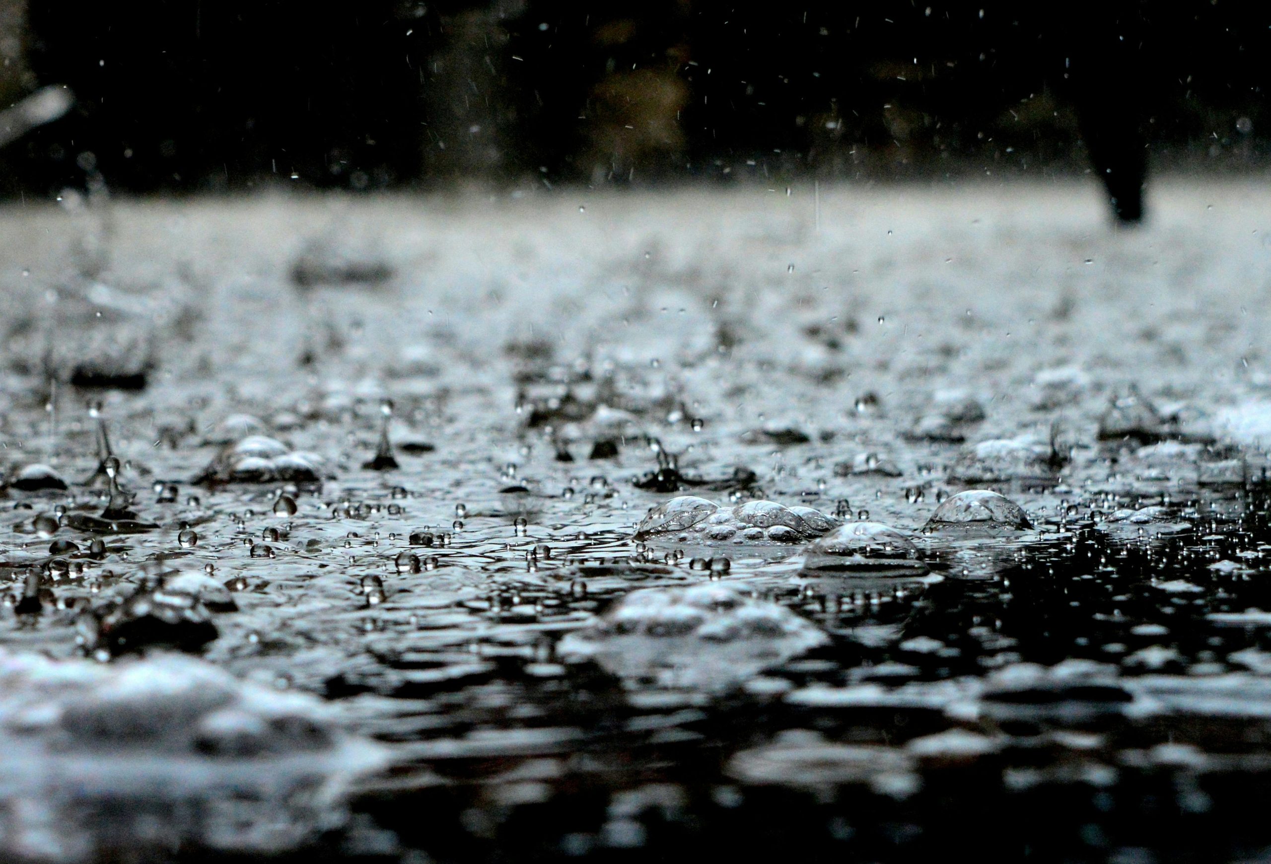 banner_img
